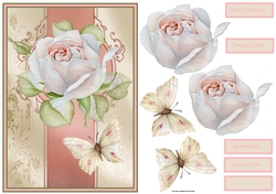 Anniversary rose A5 card