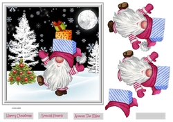 Gnome ready to party 7x7