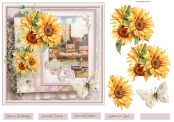 Sunflowers and the river 7x7