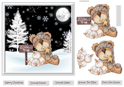 Bear has snowballs for sale 7x7