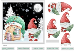 Snowmans home 7x7