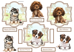 Toppers of cocker spaniel, Malamute and shepherd dogs