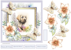 Labrador dog 7x7