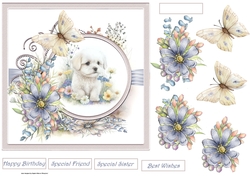 Baby Maltese and flowers