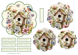 Birdhouse in the forest scallop