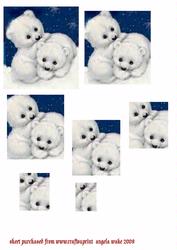 Baby Polar Bears