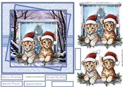 Christmas lion cubs 7x7