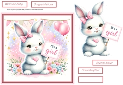 Rabbit baby girl 7x7