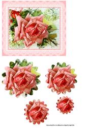 Rosea Topper Lace Framed