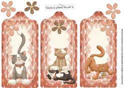 4 Kittens Waiting to Play