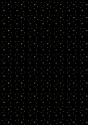 Black with Gold Star