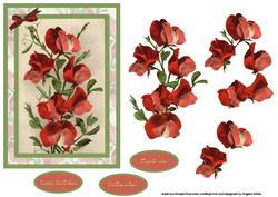 Sweet Peas for Mum