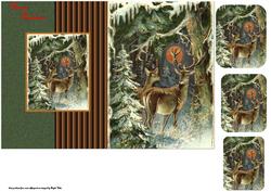 Reindeer is Looking for Someone