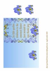 Pancy Border