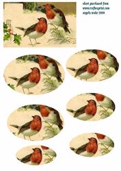 Vintage Robins