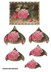 Vintage Rose and Fallen Petal