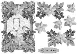 For Your Silver Wedding
