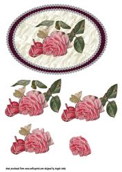 Eclipse of Roses in Silk