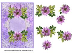 Wild English Rose