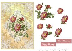 Hedgerow Rose