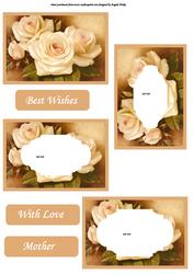 Peaches and Cream Roses