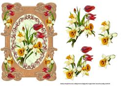 Daffodils and Tulips