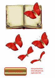 Victorian Aged Book