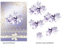Lilac Freesias