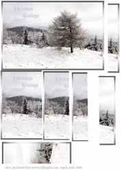 Winter Countryside