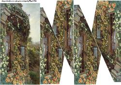 Window of Roses