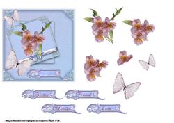 Iris and Butterfly