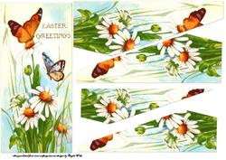 Butterfly and Daisy