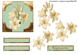 Lillies of Peace