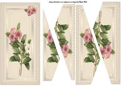 Wild Flat Head Rose
