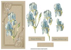 Blue Iris