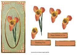 Tiger Lily Topper