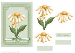 Sun Daisy
