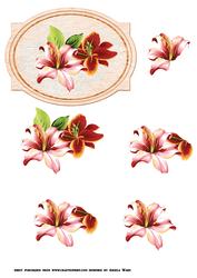 Hibicus Floral