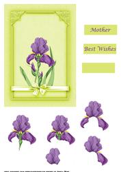 Iris Topper