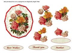 Mixed Colour Roses