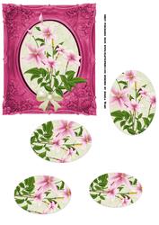 Pink Wild Flowers