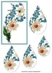 Daisy and Forget-me-not