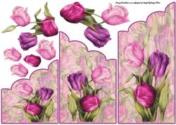 Tulips It is Spring