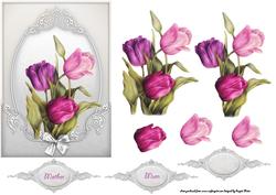 Pink and Purple Tulips