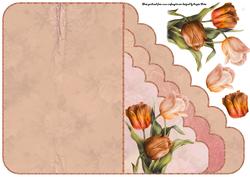 Tulip Scallop