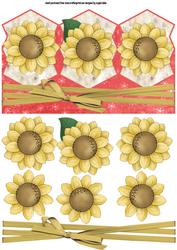 Sunflower Heads