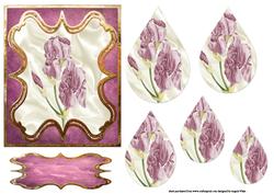 Purple Iris