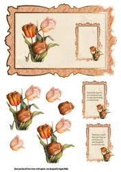 Tulips with a Message