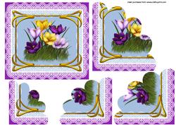 Crocus and Lace
