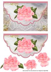 English Rose in Bloom